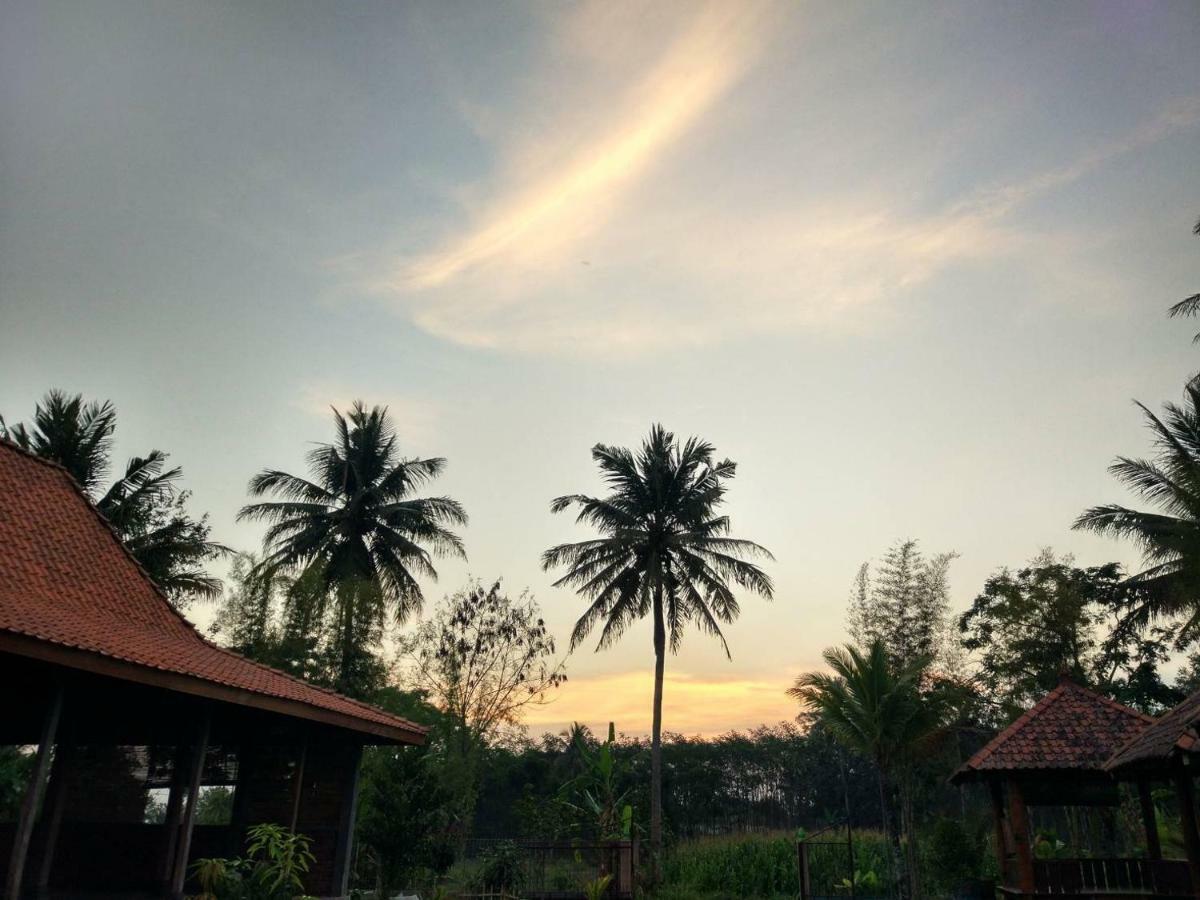 Joglo Greenhouse Ngemplak  Bagian luar foto